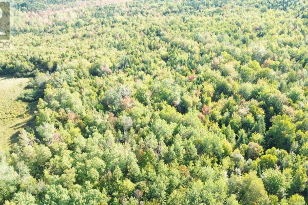 Lot 3 Ohio East Road, St  Joseph, NS B2G2K8 Photo 5