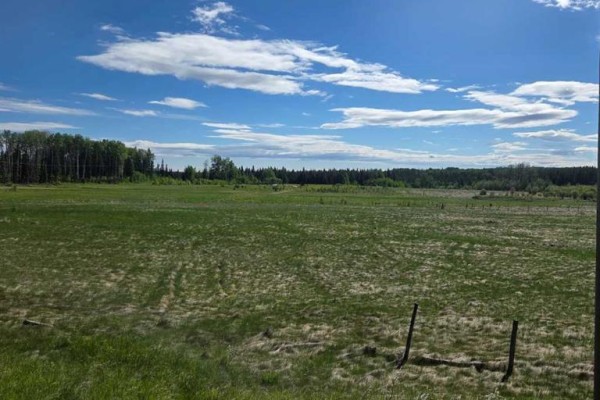 Lot 3 Range Road 175, Rural Yellowhead County, AB T7E3L7 Photo 4