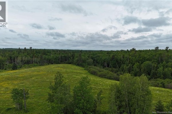 Lot 3 Route 134, Kouchibouguac, NB E4X1N5 Photo 4