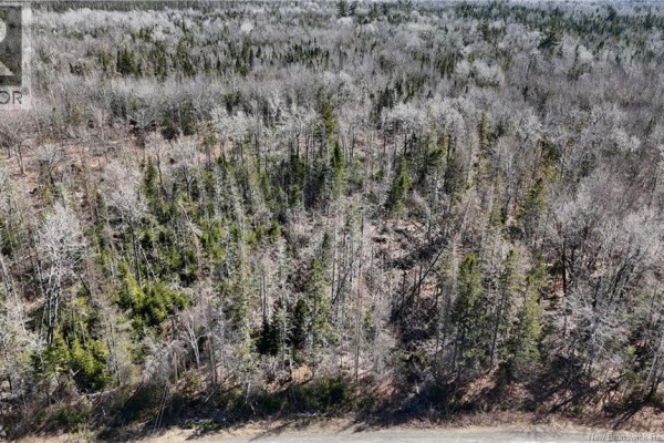 Lot 3 Route 3, Andersonville, NB E5A1E2 Photo 4