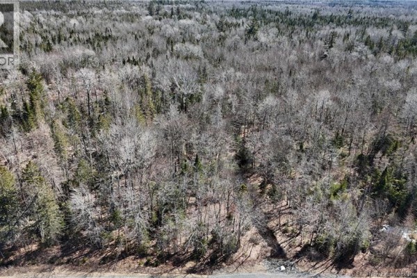 Lot 3 Route 3, Andersonville, NB E5A1E2 Photo 5