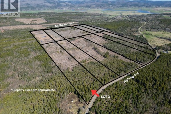 Lot 3 Route 915, Upper New Horton, NB E4H3T4 Photo 5