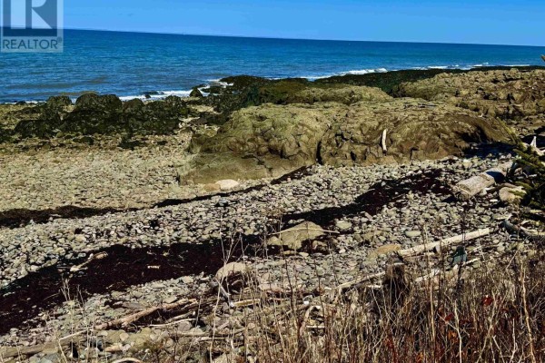 Lot 3 Shore Road, Youngs Cove, NS B0S1C0 Photo 3