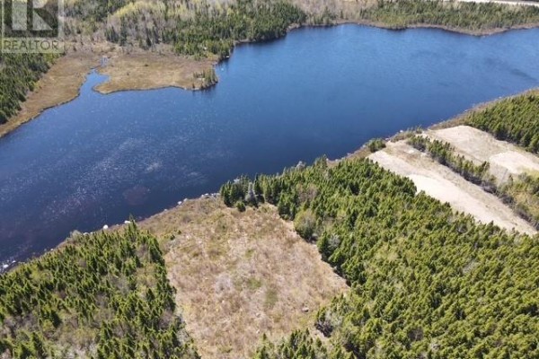 Aerial view of a waterfront property with forested areas, cleared patches, and a large pond. - Lot 3 Third Pond, Glovertown
