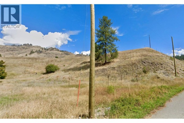Lot 3 Thomet Avenue, Midway, BC V0H1M0 Photo 4