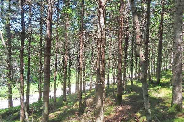 Lot 3 Upper Grand Mira Road, Upper Grand Mira, NS B1K1M1 Photo 4