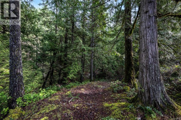 Lot 3 Whittaker Rd, Malahat, BC V0R2L0 Photo 3