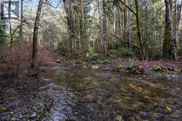 Lot 3 Whittaker Rd, Malahat, BC V0R2L0 Photo 4