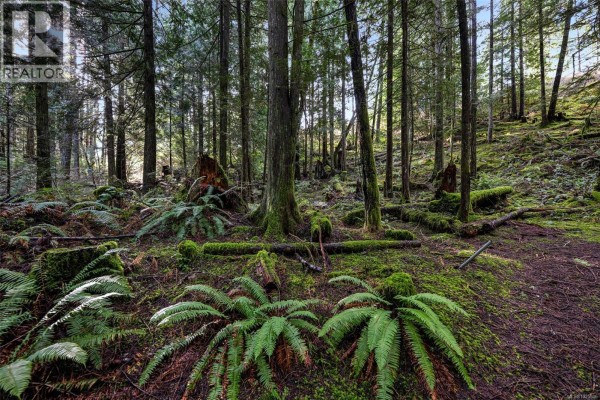 Lot 3 Whittaker Rd, Malahat, BC V0R2L0 Photo 5