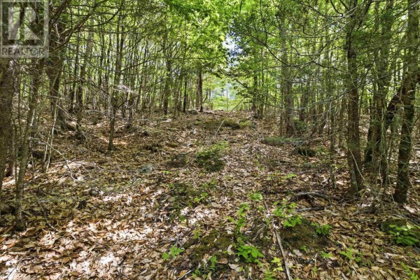 Lot 30 Maplesue Point Drive, Molega, NS B0T1X0 Photo 3