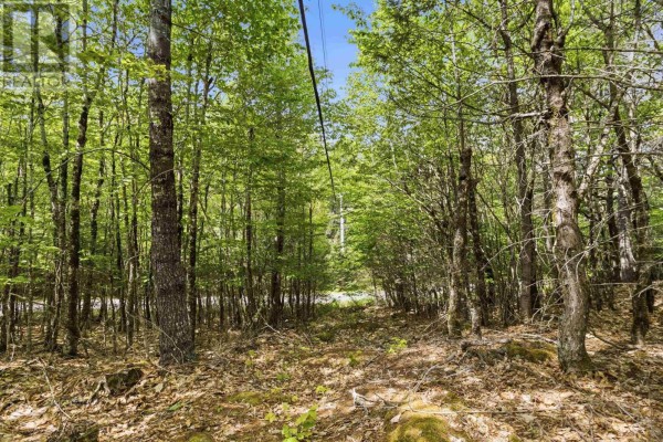 Lot 30 Maplesue Point Drive, Molega, NS B0T1X0 Photo 4