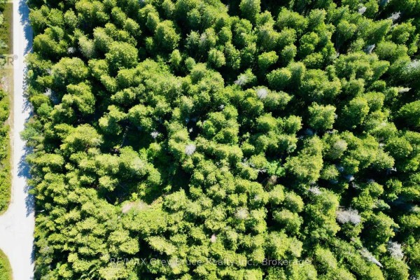 Lot 30 Myles Drive, Northern Bruce Peninsula, ON N0H2R0 Photo 2