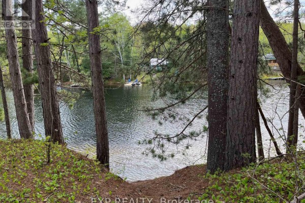 Lot 30 Sandy Shores Trail, Madawaska Valley, ON K0J1B0 Photo 4