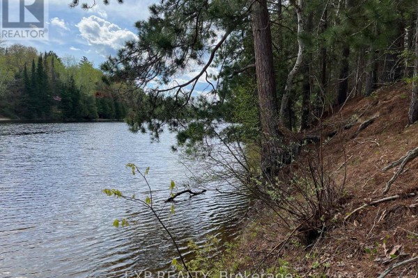 Lot 30 Sandy Shores Trail, Madawaska Valley, ON K0J1B0 Photo 5
