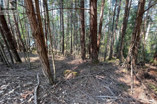 Lot 30 View Ridge Rd, Mudge Island, BC V0R1X0 Photo 2