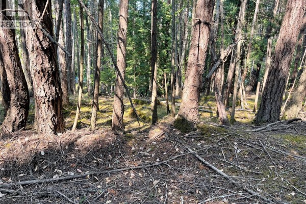 Lot 30 View Ridge Rd, Mudge Island, BC V0R1X0 Photo 3