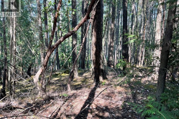 Lot 30 View Ridge Rd, Mudge Island, BC V0R1X0 Photo 4
