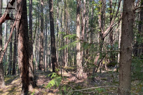 Lot 30 View Ridge Rd, Mudge Island, BC V0R1X0 Photo 5