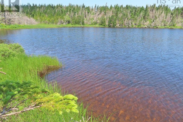 Lot 31 Belfry Lake Road, Gabarus Lake, NS B1K2E8 Photo 4