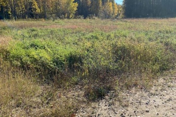 Lot 32 Flats Road Road, Whitecourt, AB, photo 3