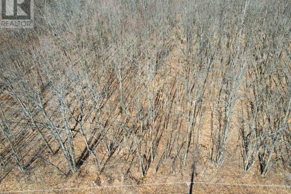 Lot 33 Macavalley Road, Tiny, ON  Photo 2