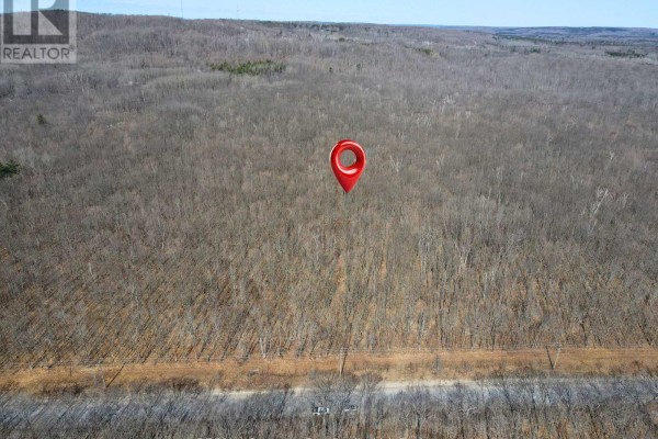 Lot 33 Macavalley Road, Tiny, ON  Photo 4