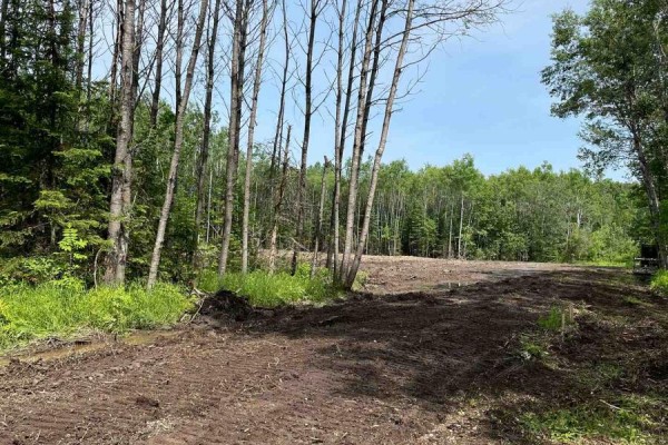 Lot 33 Rutherglen Line, Bonfield, ON P0H2E0 Photo 4