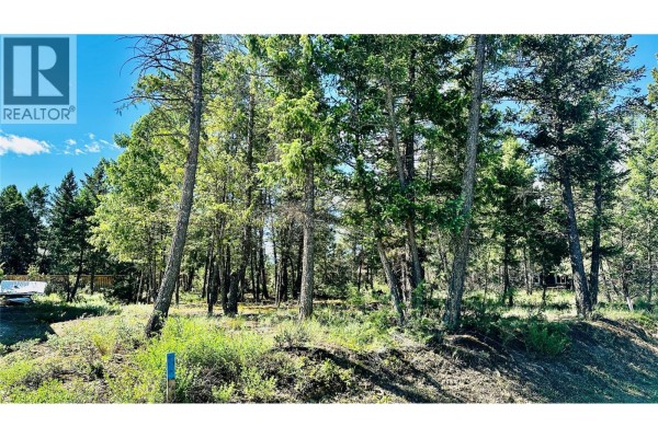 Lot 35 Copper Point Way, Windermere, BC V0B1L1 Photo 4