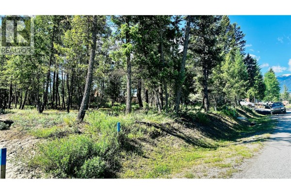 Lot 35 Copper Point Way, Windermere, BC V0B1L1 Photo 5