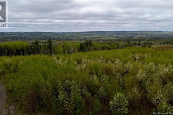 Lot 37 Davidson Road, Anagance, NB E4Z1E1 Photo 3