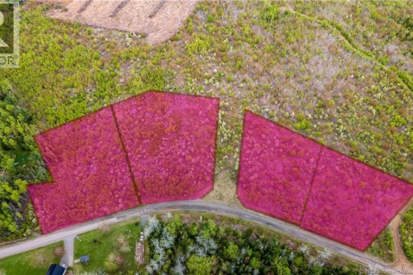 Lot 37 Davidson Road, Anagance, NB E4Z1E1 Photo 4