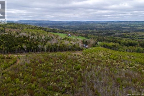 Lot 37 Davidson Road, Anagance, NB E4Z1E1 Photo 5