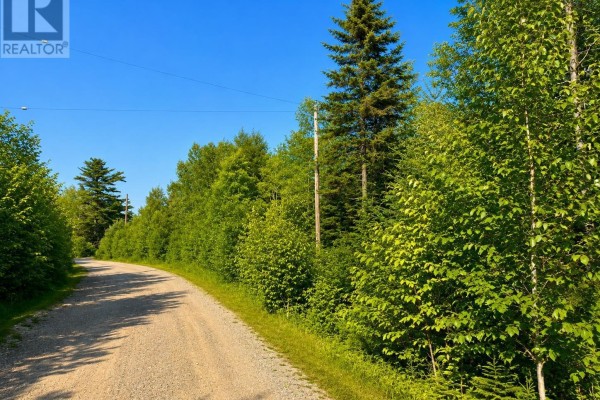 Lot 37 Marble Mountain Road, Redbird Drive, Big Harbour, NS, photo 3