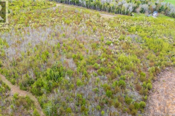 Lot 38 Davidson Road, Anagance, NB E4Z1E1 Photo 4