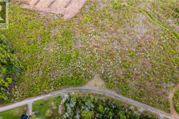 Lot 39 Davidson Road, Anagance, NB E4Z1E1 Photo 4