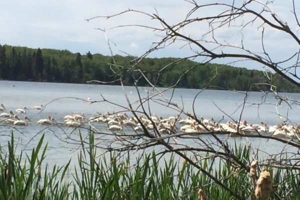 Lot 4, Block 6 Poplar Place, Canwood Rm No  494, SK, photo 2