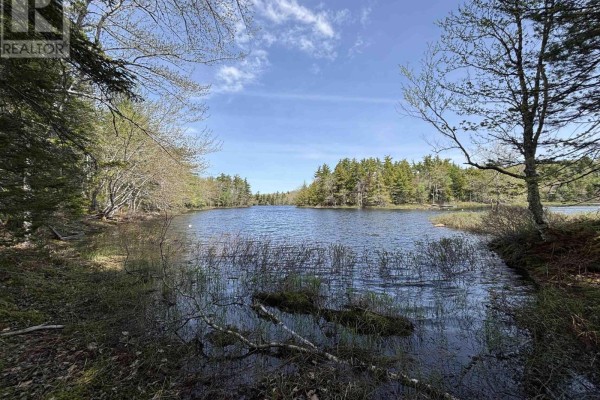 Panoramic view of the lake with cloudy sky and surrounding forest - Lot 4-23 Highway 325, West Clifford