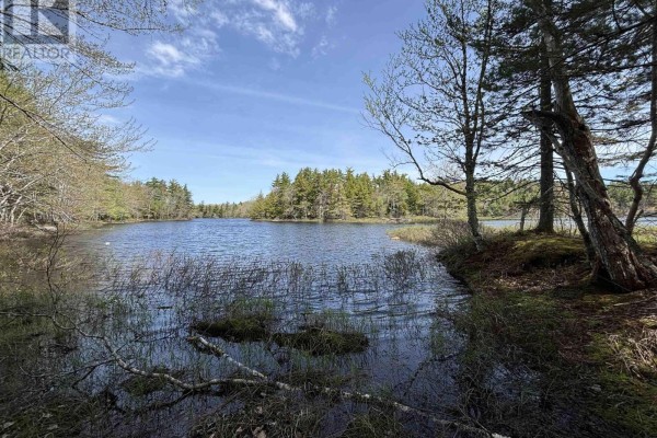 Lakeside view featuring bare shrubs and trees along the water's edge - Lot 4-23 Highway 325, West Clifford