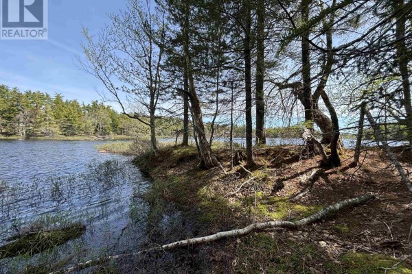 Another angle of the lake with winter foliage and distant trees - Lot 4-23 Highway 325, West Clifford