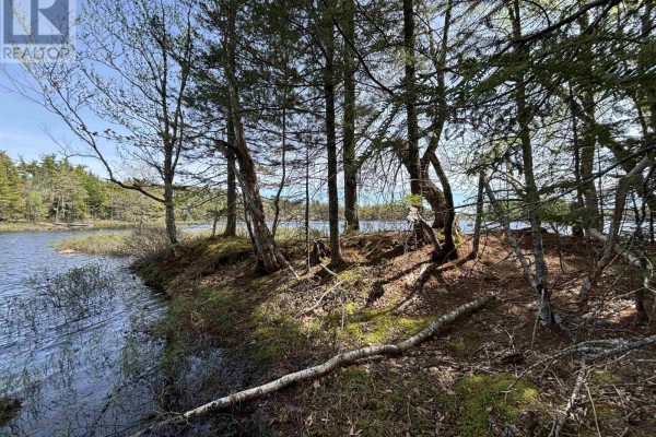 Close-up view of the icy lake surface with surrounding brush and trees - Lot 4-23 Highway 325, West Clifford
