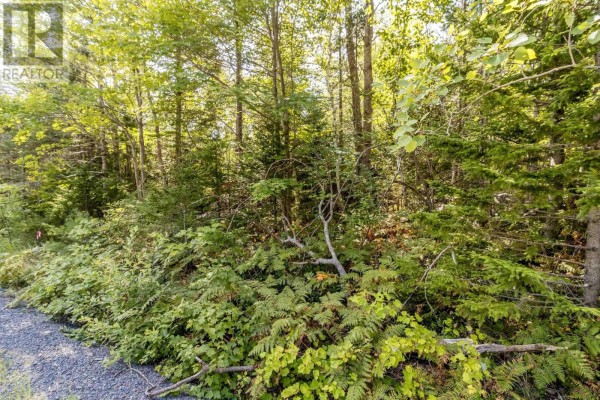 Lot 4 Aylesford Road, Morristown, NS B0P1C0 Photo 3