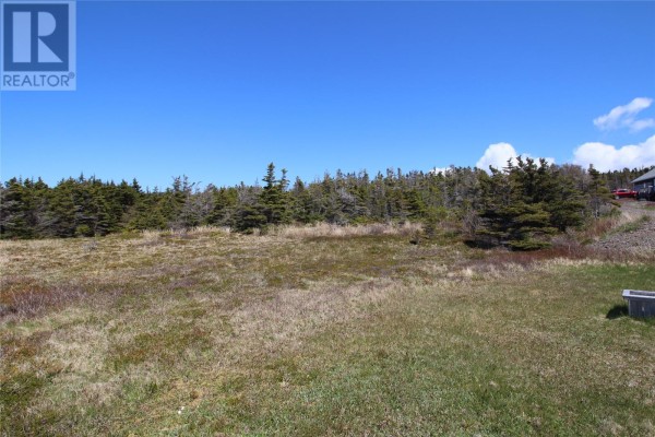 Lot 4 Bank Road, Cavendish, NL A0B1J0 Photo 4