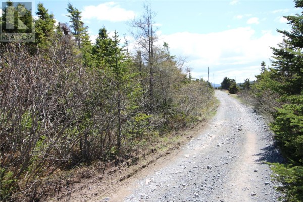 Lot 4 Bank Road, Cavendish, NL A0B1J0 Photo 5