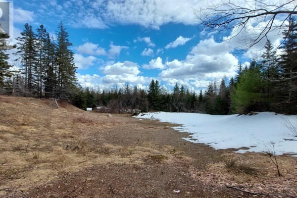 Lot 4 Beaver Ln., Grantville, NS B0E1J0 Photo 5