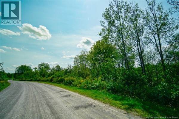 Lot 4 Cnr Road, Saint Leonard, NB, photo 2