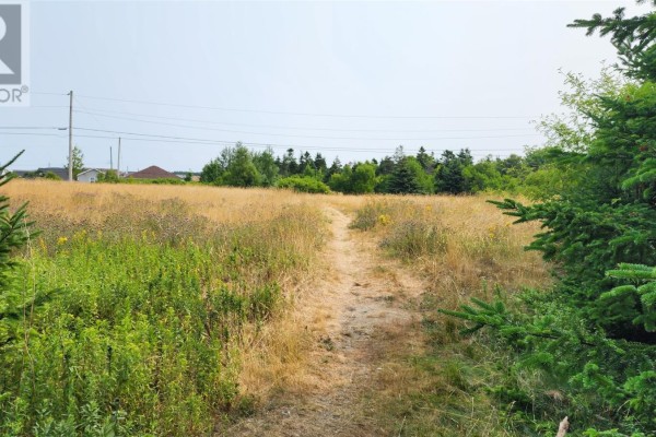 Lot 4 Cook's Lane, St  John S, NL A1A5C6 Photo 2