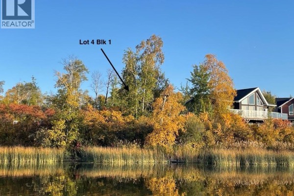 Cleared lot with overgrown grass and trees, lake visible in the background - Lot 4 Dixon View, Invergordon Rm No  430