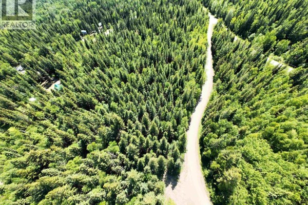 Lot 4 Erb Road, Quesnel, BC V2J6H5 Photo 5
