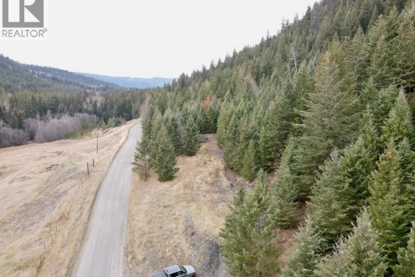 Lot 4 Fadear Creek Road, Kamloops, BC V0E2E0 Photo 4
