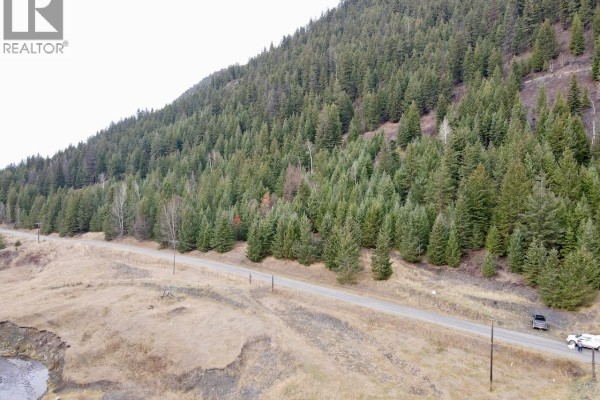 Lot 4 Fadear Creek Road, Kamloops, BC V0E2E0 Photo 5